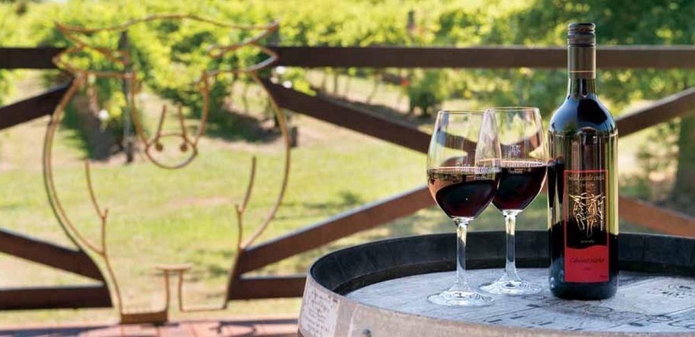 Wild Cattle Creek Estate Bed & Breakfast Wandin Yallock Екстериор снимка