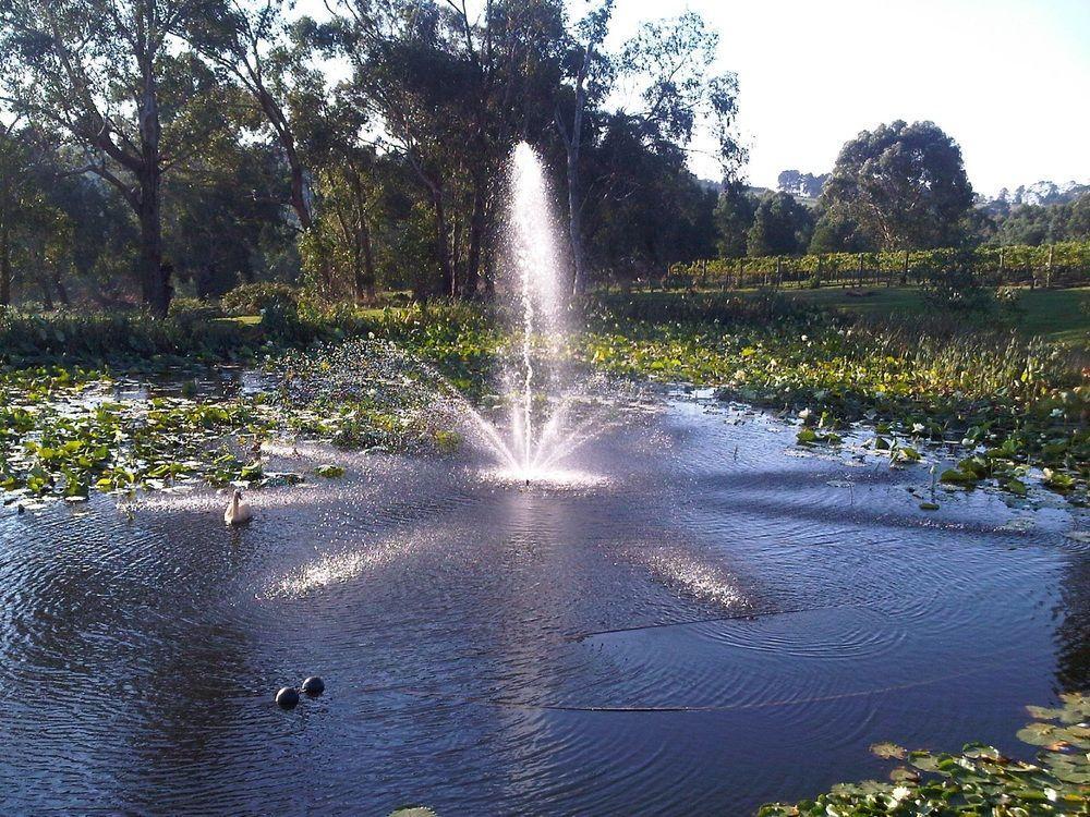 Wild Cattle Creek Estate Bed & Breakfast Wandin Yallock Екстериор снимка